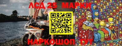 шишки Аргун