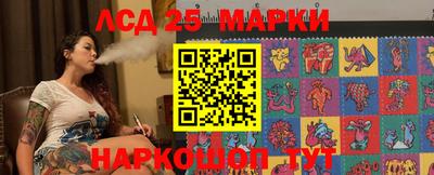 шишки Аргун