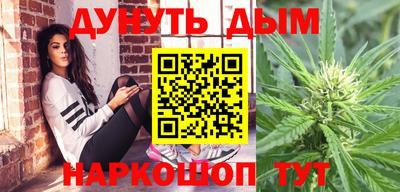 шишки Аргун